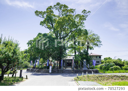 太宰府市坂本八幡宮 78527293