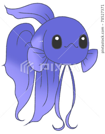 鬥魚用閃閃發光的眼睛看著你（藍色） 78527371