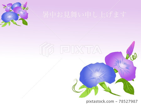 Morning glory background - summer greetings 78527987