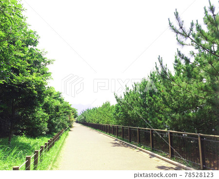 三富鹽浜海濱長廊[對角線] 78528123