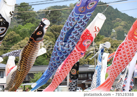 Carp streamers on a clear day (Niho, Yamaguchi City), Golden Week, Children's Day Carp streamers on a clear day (Niho, Yamaguchi City), Golden Week, Children's Day 78528388