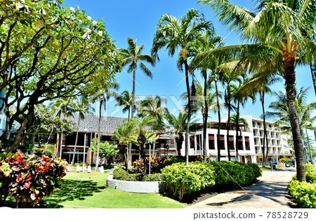 Holidays in Hawaii 78528729