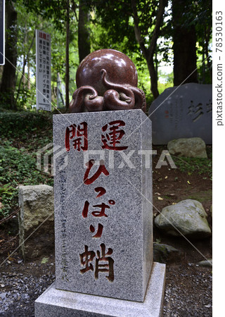 高尾山，備受追捧的吉祥章魚 78530163