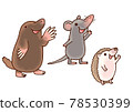 [Animals] European mole, musk shrew, Asian hedgehog 78530399