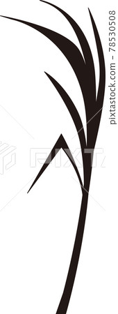 Sugar Cane 78530508