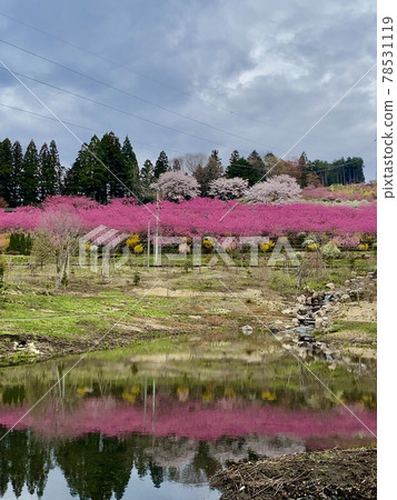 Nakanojo Gardens Nakanojo Gardens 78531119
