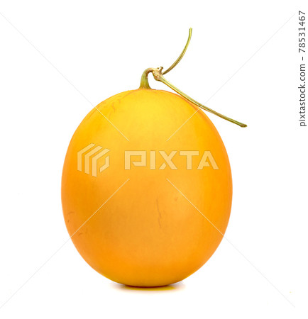 Orange cantaloupe melon smooth skin isolated on white background Orange cantaloupe melon smooth skin isolated on white background 78531467