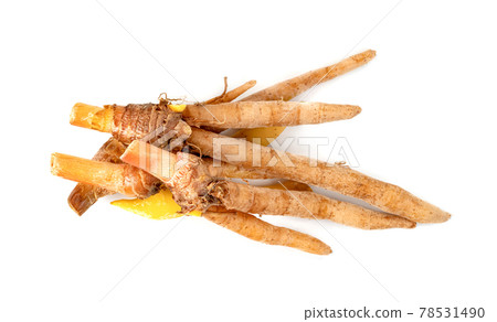 finger root or Chinese's Ginger isolated on the white background. 78531490