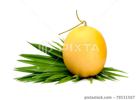 Orange cantaloupe melon smooth skin with leaf isolated on white background Orange cantaloupe melon smooth skin with leaf isolated on white background 78531507