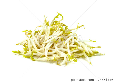 Bean Sprouts isolated on white background Bean Sprouts isolated on white background 78531556