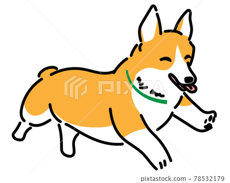 跑Corgi 78532179