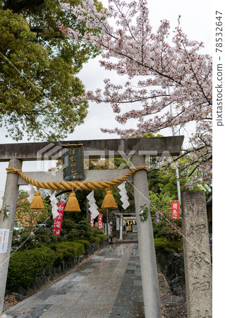 犬神社 名古屋市 犬神社 名古屋市 78532647