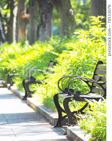 Park bench 78533076