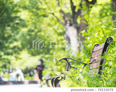 公園的長椅上 78533079