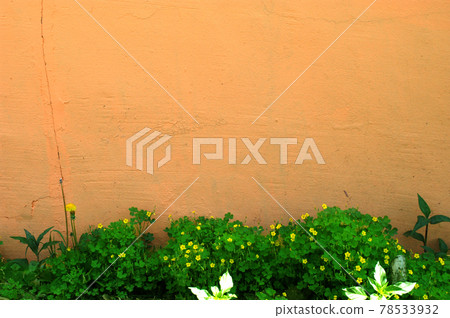 Outdoor scene with orange wall 78533932