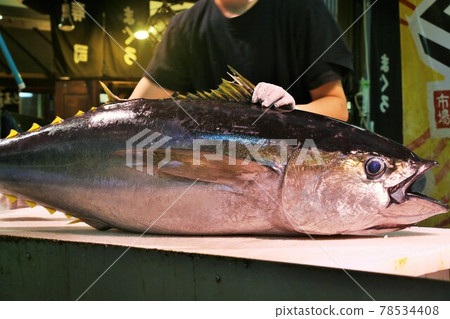 黃鰭金槍魚 78534408