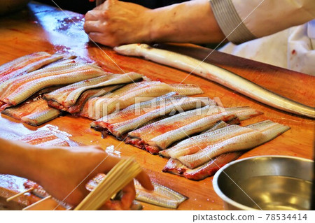 底層鰻魚 78534414