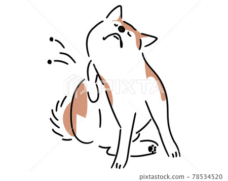 柴犬身體發癢 78534520