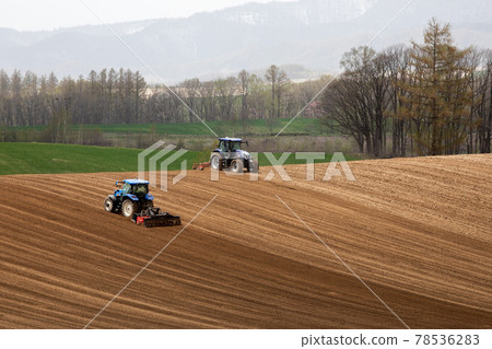 [Biei-cho, Hokkaido] Tractor working in the field May 78536283