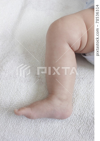 3 month old baby feet 78536314