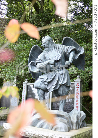 高尾山藥王院大天狗（花高天狗） 78537073