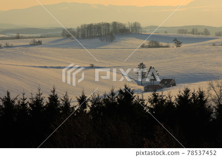 [Biei Town, Hokkaido] Sunrise on Shinei Hill in March 78537452