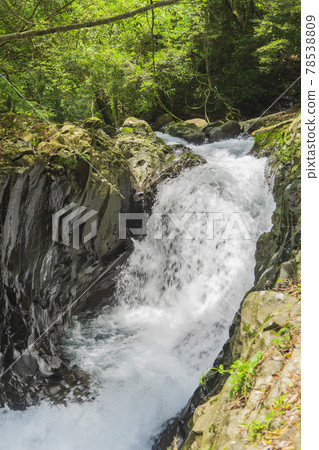 Close-up of Crab Falls and columnar joints [Kawazu Seven Falls] / Kawazu Town, Kamo District, Shizuoka Prefecture [Izu Peninsula Geopark, Fuji-Hakone-Izu National Park] 78538809