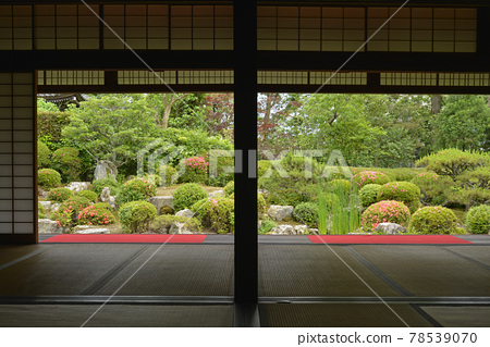 京都花園日本園林 照片素材 圖片 圖庫