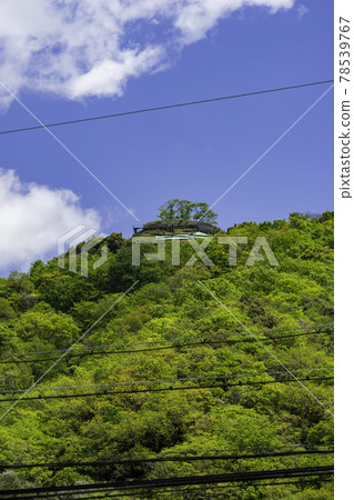 Hirafuku, Rijin Castle Ruins, Sayo Town, Sayo District, Hyogo Prefecture 78539767