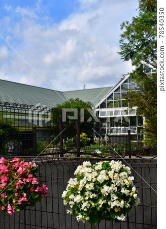 園藝初夏溫室 78540350