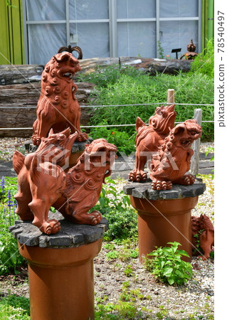 園藝初夏溫室 78540497