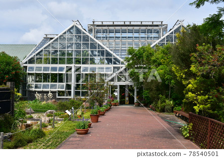 園藝初夏溫室 78540501