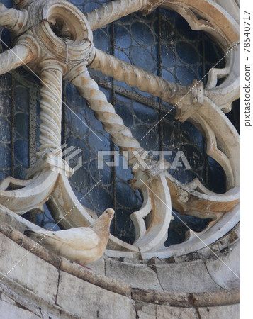 white Dove resting on  old rose window of romanesque church 78540717