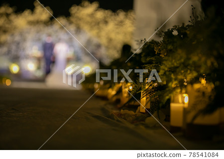 婚禮 婚禮 78541084