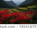 Rice terraces 78541879