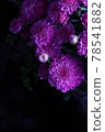 dark 78541882