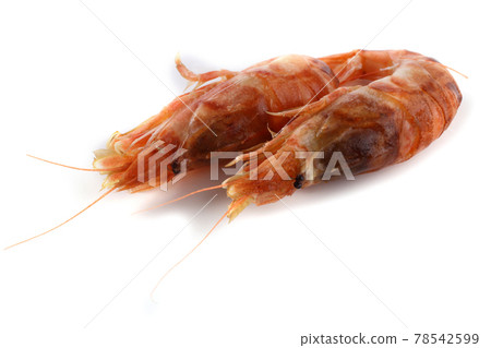Argis lar (kuro shrimp, Northern Argid). Pacific shrimp 78542599