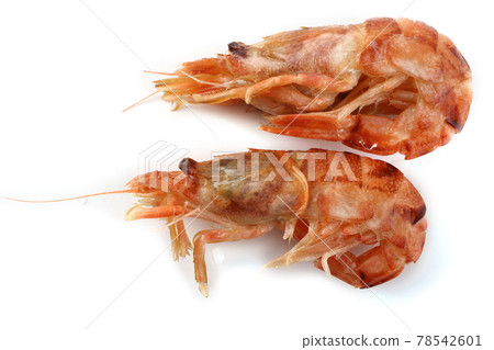 Argis lar (kuro shrimp, Northern Argid). Pacific shrimp 78542601