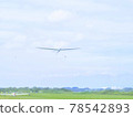 A glider spreading its wings wide in nature 78542893