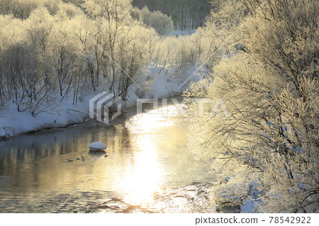 A frost-covered forest sparkling in the morning sun 78542922