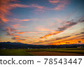 Rice field and sunset 78543447