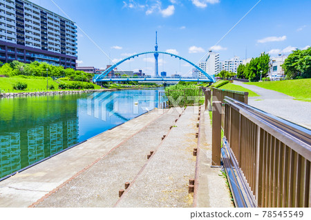 [Tokyo cityscape] Tokyo Skytree and Nakagawa Fureai Bridge 78545549