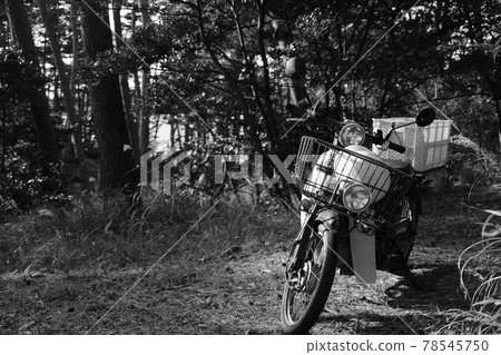 Bike in the forest 78545750