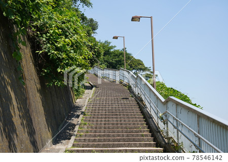 Stairs to Harbor View Park 78546142