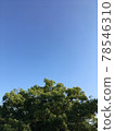 Early summer early morning sky and forest 78546310