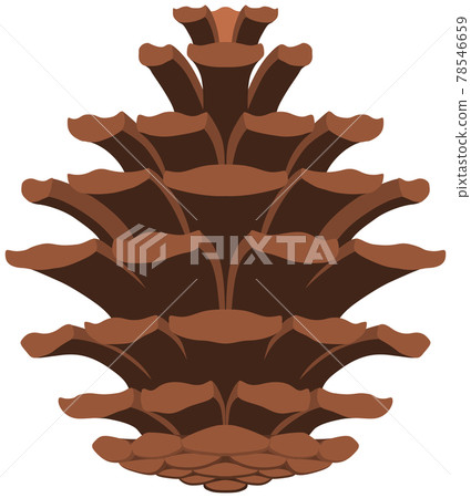 pinecone, vegetation, vegetative 78546659