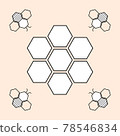 Vector illustration of bee and honeycomb on white background 78546834