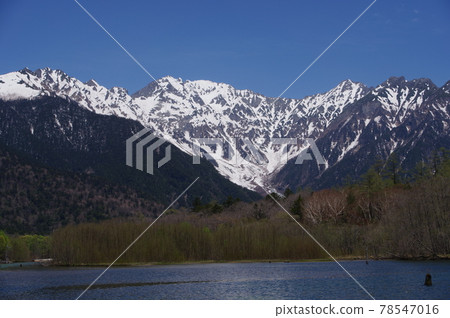 從大正池看北阿爾卑斯(穗高山脈方向)位置:大正池(長野縣上高地) 從大正池看北阿爾卑斯(穗高山脈方向)位置:大正池(長野縣上高地) 78547016