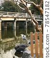 Heron at the waterside 78547182