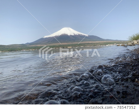 Mt. Fuji from the lake 78547352